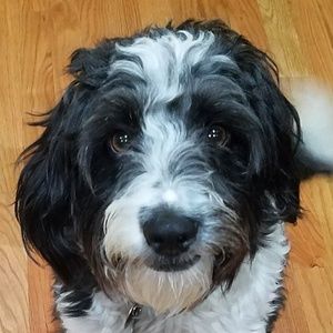 Meet your Posher, Beth